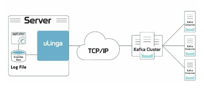 uLinga File Reader Support